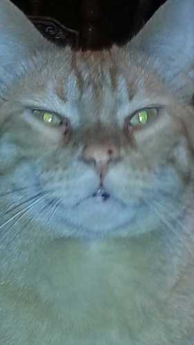 Suekelley666SUE's profile picture. 