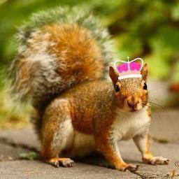 And who am I? That's one nut you'll never crack. You know you love me. XOXO, Gossip Squirrel