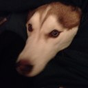 Kevin Place - @PizzleYo - Twitter