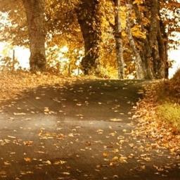 hayat bizim için bir sınavdır taki ölene kadar o zaman sınavın sonucu açıklanır bu sonuç ya cennet ya da cehenemdir