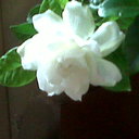 sandra cattaneo - @sandra_cattaneo - Twitter