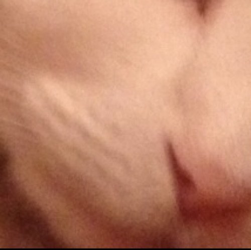 cfxiam's profile picture. 