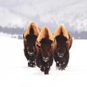 Bobby Warren - @BobbyWarren7 - Twitter