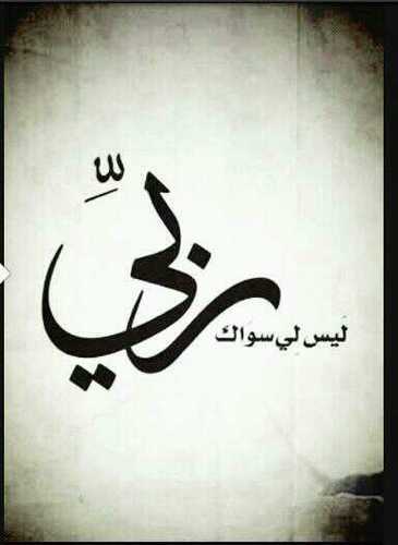 الكادي🌹
