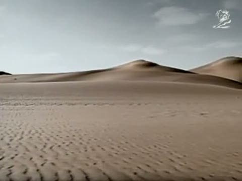 bronzeagenerd's profile picture. 