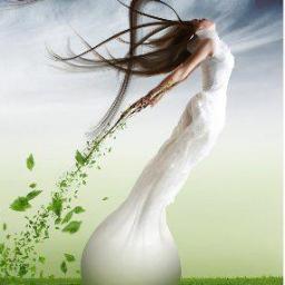 misskitty_65's profile picture. Psychic/medium, healer,Greatest interest is in the paranormal and animal welfare.