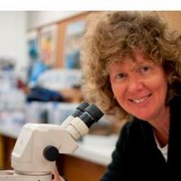Michelle Leishman (@mleishman1) 's Twitter Profile