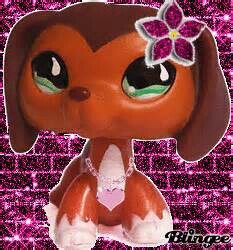 Hey Sav here and my life is CA-RAZY brook is on my heels to ruin me and I know it...