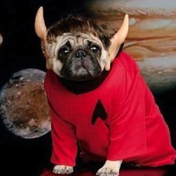 GeekAlmighty's profile picture. geek blogger, loving urban art, ink, Star Wars, dr who, gadgetry, scifi, memorabilia, zombies, breaking bad, smorkin labbits, funko pops and more