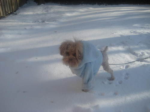 HorseFreak1001's profile picture. 