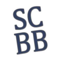 A networking group meeting in Southampton for SMEs to discuss challenges with likeminded people.