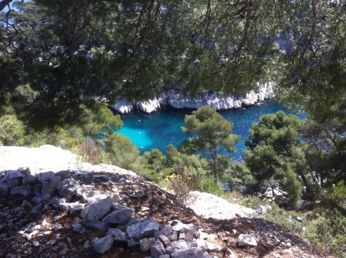 claudeparra13's profile picture. 