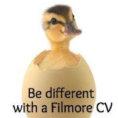 Affordable, accurate and professional CV's, Resumes and Cover Letters written by CV & Resume writing experts.