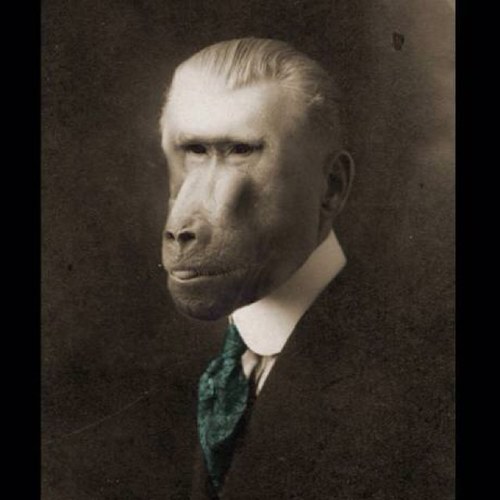 TheBourds's profile picture. 