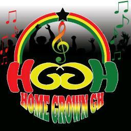 HomeGrown Ent. aimes at networking positive minded individuals with ideas,skills and experience to bring the best services to music and art lovers Pin:2A18AA75