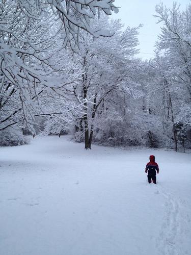 Vaashti's profile picture. 