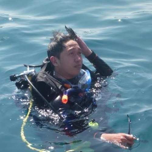 I'm traveler, Workerholic, Diver
