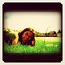 paula santos (@pausantos1) Twitter profile photo
