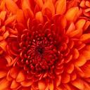 brenda mills - @Maree22Mills - Twitter