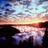 DavidThurman5's profile image
