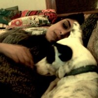 nimrabucha (@nimrabucha) Twitter profile photo