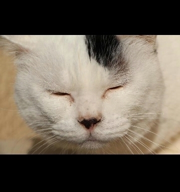 zawawa0819's profile picture. 