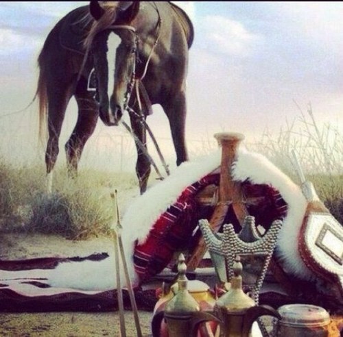 خذها نصيحه واقفل الباب وياك .. ماني من اللي لا بغى صيده يحوم أما كسبت الطيب من كف يمناك .. ولا ّعلى البياع ما يفرق السوم. (متذوق للشعر)