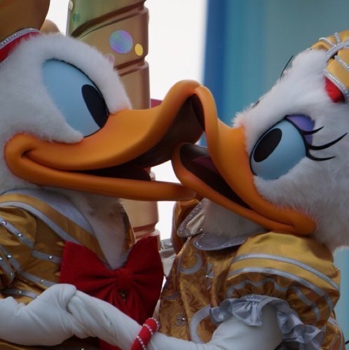 daisyui316's profile picture. D垢作りました♪キャスト・年パス共通持ち・相棒NEX5RY。デイジー大好き！30thハピネスを盛り上げよう！！