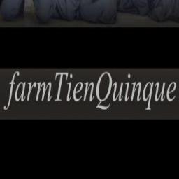 tienquinque's profile picture. palsu