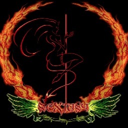 Sextasy je nastao 2006. godine. Prvi album Malum Discordiae snimljen je 2009. godine. Novi materijal je u pripremi i ocekuje se do leta 2013 u izvodjenju.