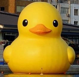 anatroppolo's profile picture. “Ridere non è affatto un brutto modo per iniziare una amicizia, ed è senz'altro il migliore per troncarla”. Oscar Wilde