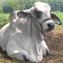 José Antonio Motta - @jamottaf - Twitter