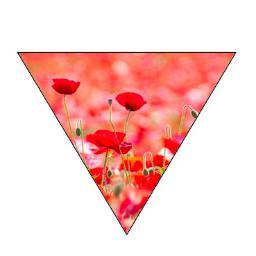 T.E. es una página creada para difundir los blogs de sus componentes. ARTE, VIAJES y GASTRONOMÍA.
@Vendansusneuras @albagortega @claudietaqui mandan aquí