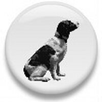 Fat Spaniel (@fat_spaniel) 's Twitter Profile