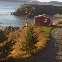 R_Delaney's profile picture. a Twitter feed about Bay Roberts and its Economic Development Department