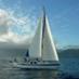 VELERO TINTIN (@velerotintin) Twitter profile photo