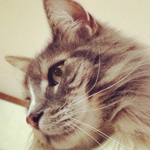 surfaholic1117's profile picture. 