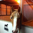 Marlene Wendt - @MarleneWendt - Twitter