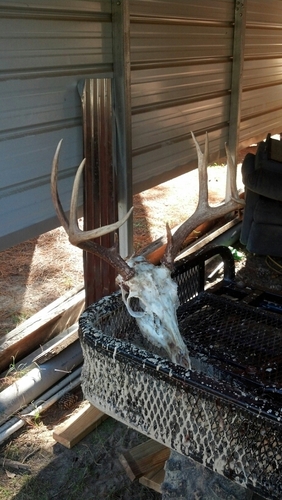 brandon_l96's profile picture. hmu! 3184781164