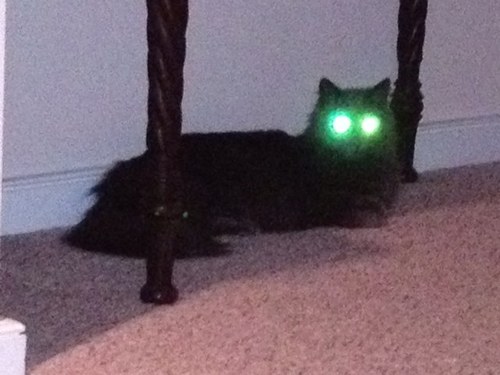 gpenth's profile picture. 