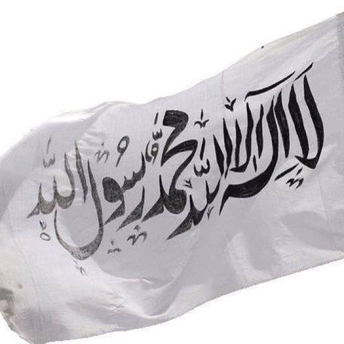 الحلم الحقيقي رؤيته هو سر النجاح في الحياة