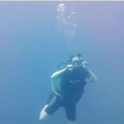 ifingloveocean's profile picture. Dedicated to the sheer awesomeness of the ocean. Can be jokes, memes, science facts, or news. Cuz what's not to love about it, really!