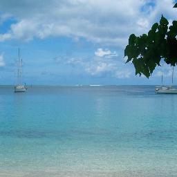 noteskeep's profile picture. 