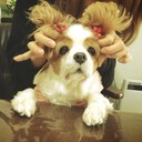 ゆーか (@0811yuka) Twitter