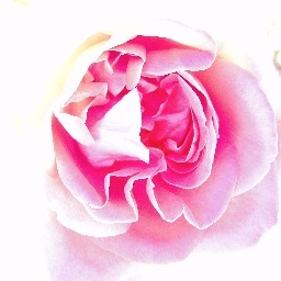 LisaLombardi_LU's profile picture. 