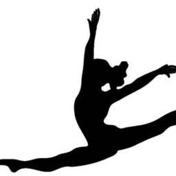 Hauppauge Dance Company is the performing group of the Hauppauge HS dance classes.