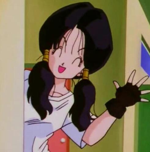 I'm Videl. Daughter of the world champion,Mr Satan. Also known as the Great Saiyagirl or Great Saiyaman 2