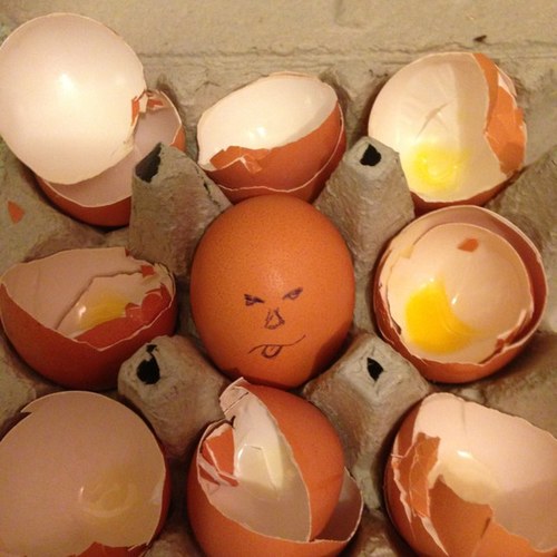 MrBerenga's profile picture. Soy un HUEVO con mucho colesterol, me encantan las Féminas y DETESTO a las Feministas, soy bien Macho NO Machista