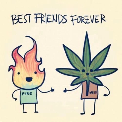 Stay Blazed