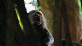 holanre's profile picture. ʎןʇuǝɹǝɟɟıp sbuıɥʇ ǝǝs I